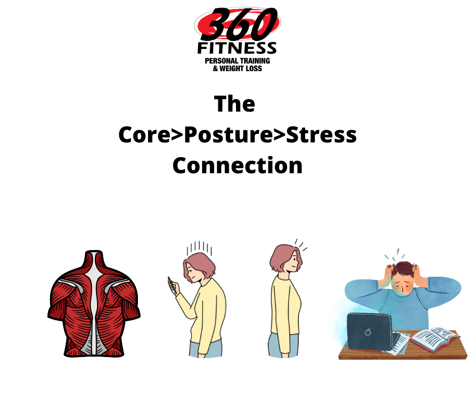 The Core > Posture > Stress Connection